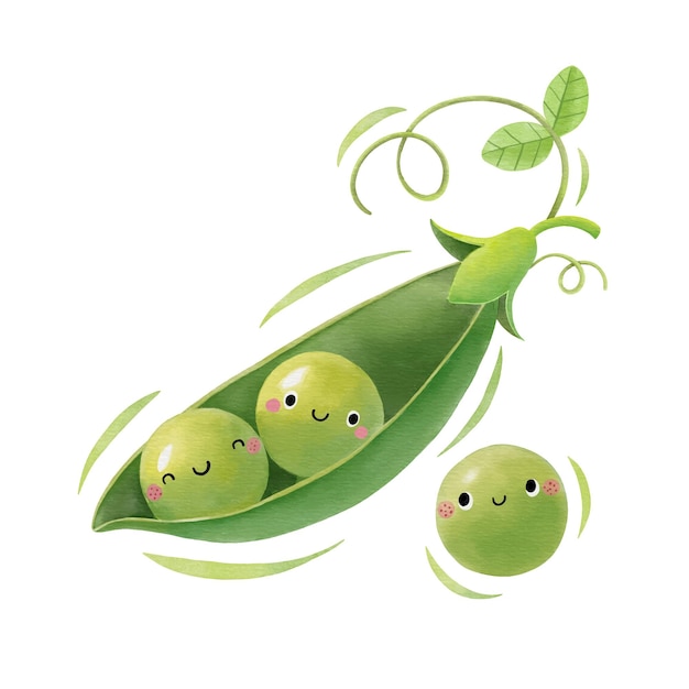 Watercolor cute peas cartoon character Vector illustration