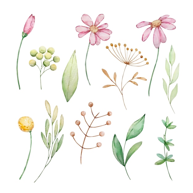 Watercolor cute spring set of plants pink flowers and leavesxAxA