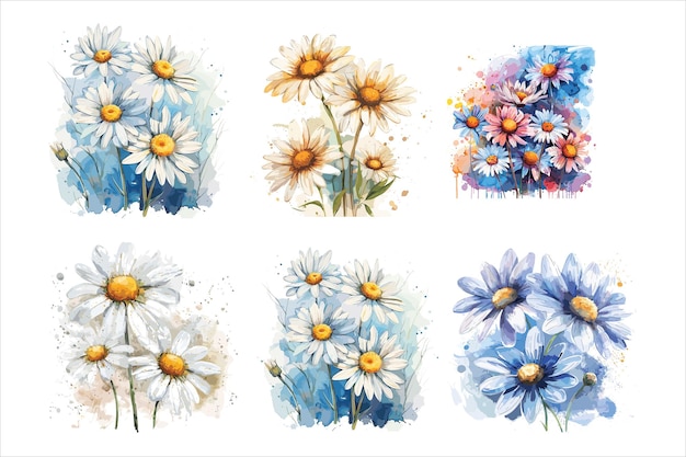 Watercolor daisies Daisies Flowers Floral Botanical Nature Painting Vector Art Colorful Background