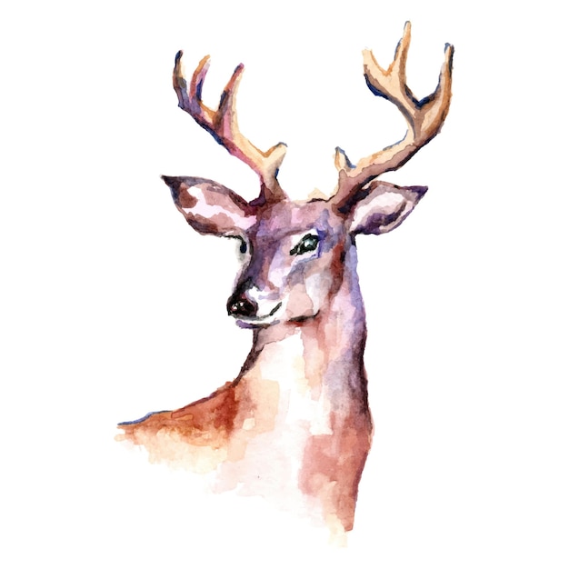 Watercolor deer over white background Vector cartoon animals illustration art for wallpaper