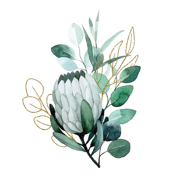 watercolor drawing bouquet composition of tropical protea flowers and eucalyptus leaves with golde