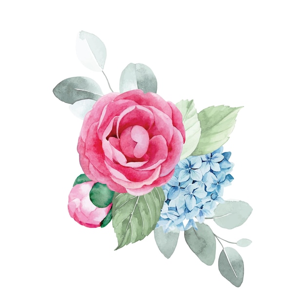 watercolor drawing. bouquet, composition with flowers and leaves of eucalyptus. pink peony flowers