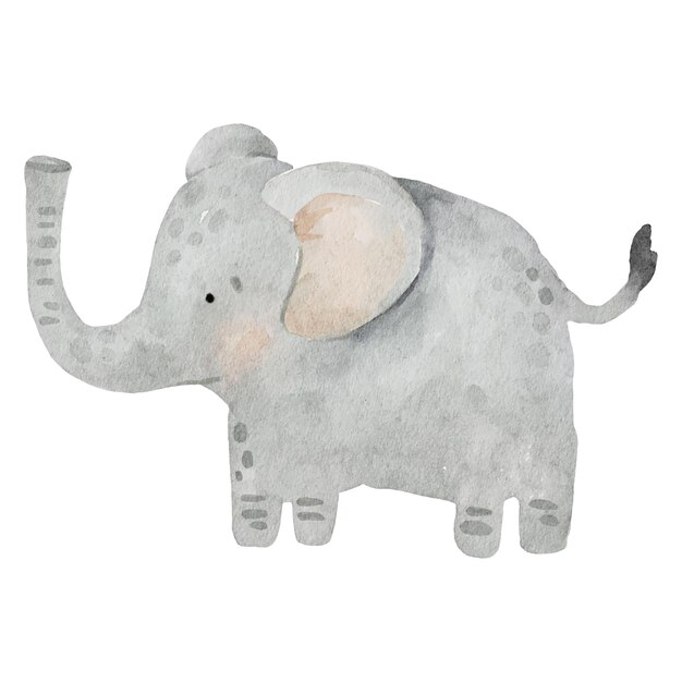 Vector a watercolor drawing of an elephant with a large trunk