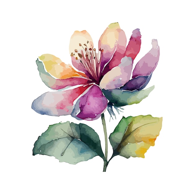 a watercolor drawing of a flower with the colors of the leaves