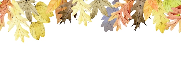 watercolor drawing seamless border web banner with dry autumn oak maple leaves yellow and red