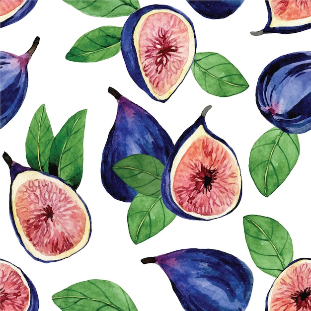 watercolor drawing seamless pattern tropical fruits figs beautiful print with fruits on a white ba