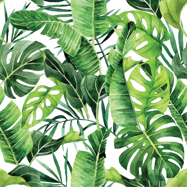 watercolor drawing. seamless pattern with tropical leaves of palm, monstera. green leaves of rain