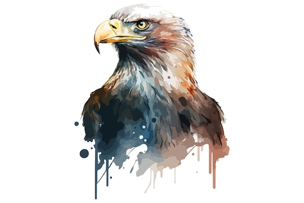 watercolor Eagle vector illustration