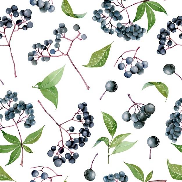 Watercolor elderberries seamless pattern