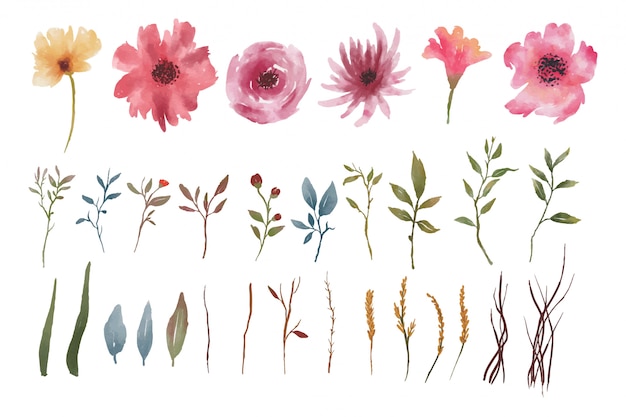 watercolor elements of flowers and leaves