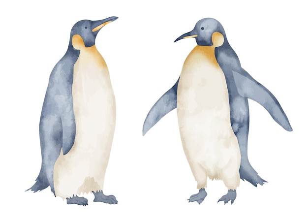 Watercolor Emperor Penguins Hand drawn illustration isolated on white background Drawing of Antarctic animals in pastel colors Sketch of polar bird Sketch for logo or icon North character