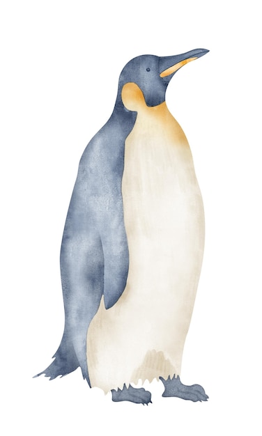 Watercolor Emperor Penguins Hand drawn illustration isolated on white background Drawing