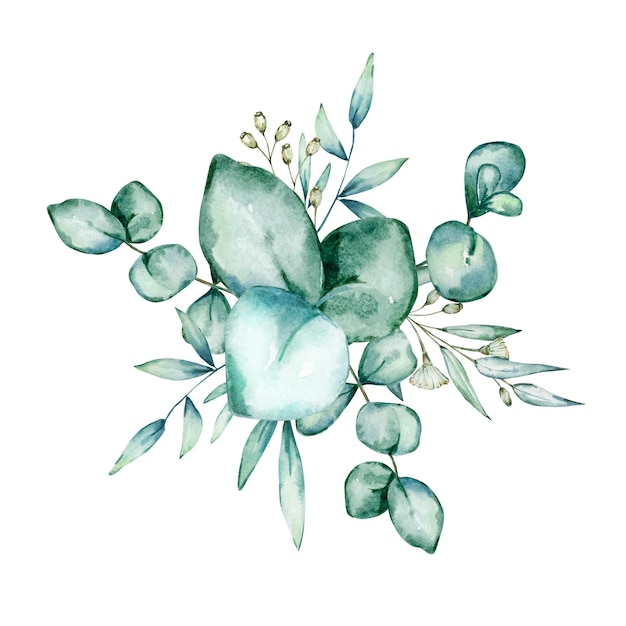 Watercolor eucalyptus bouquet branches and leaves isolated