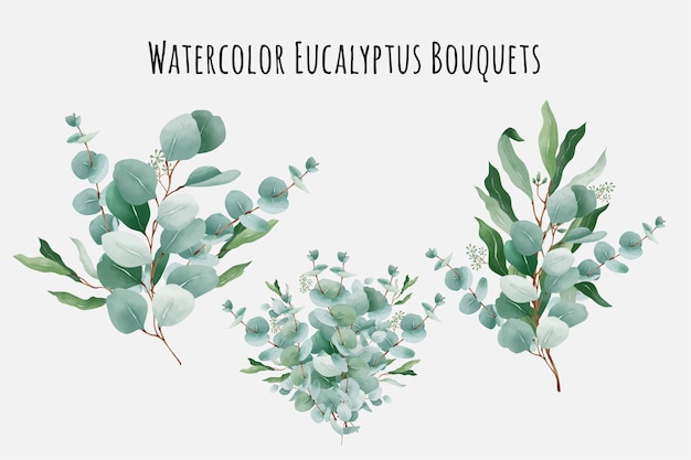 Watercolor eucalyptus bouquets collection