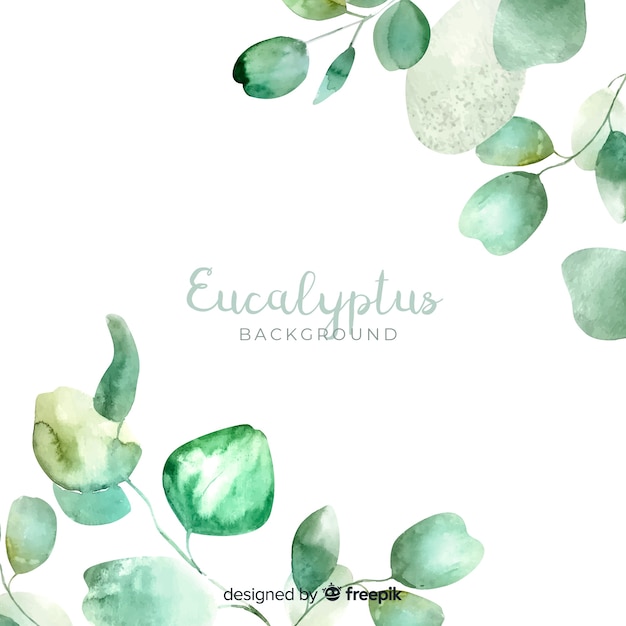 Watercolor eucalyptus leaves background