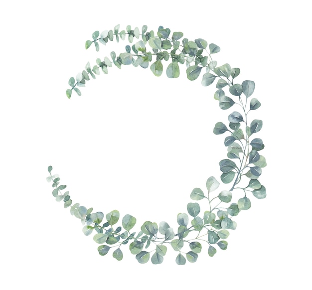 Watercolor eucalyptus wreath.