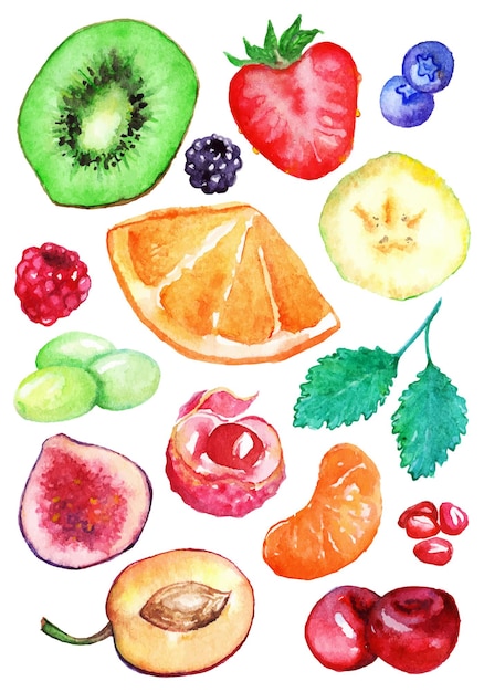 Watercolor exotic fruit berry slice set isolated vector