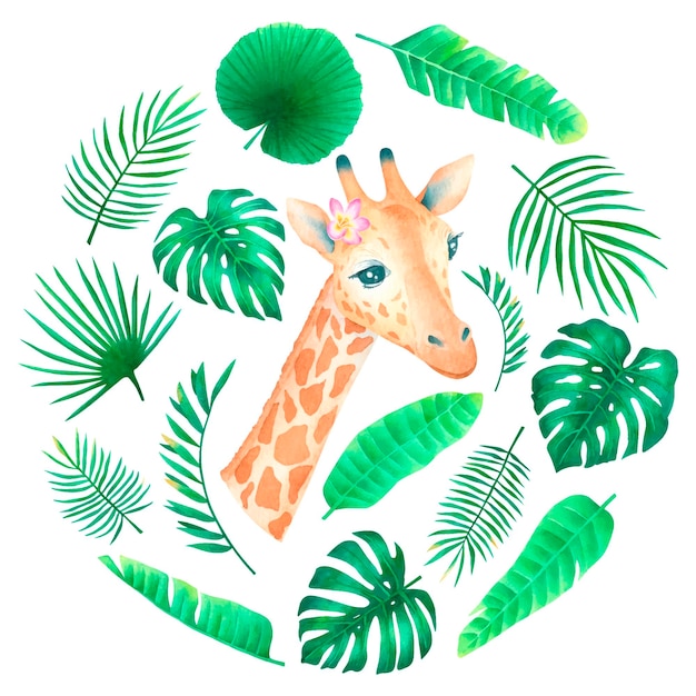 Watercolor exotic round composition with cute giraffe and palm leaves tropical card for design