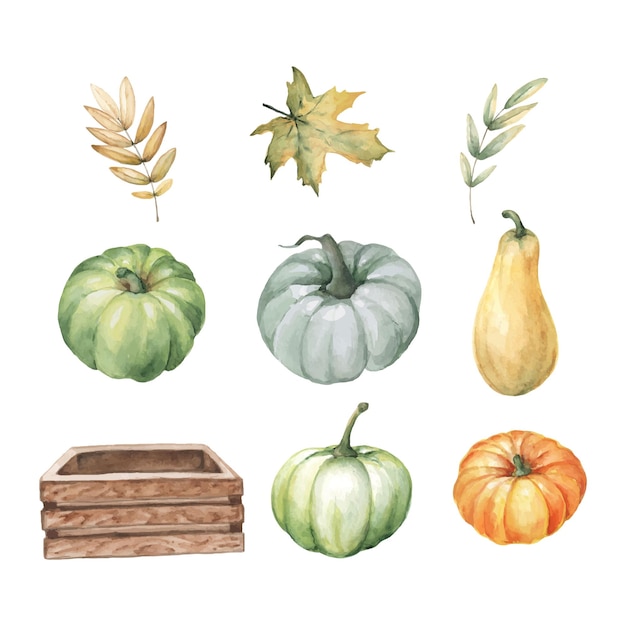 Watercolor fall set of hand drawn pumpkins and leaves