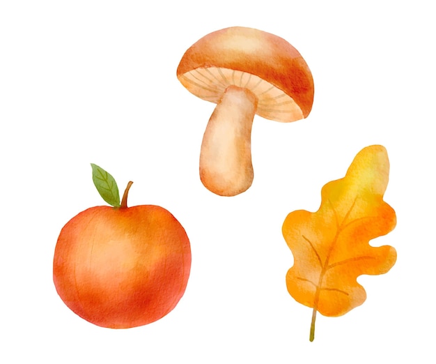 Watercolor fall set with leaf apple and mushroom