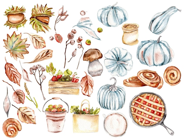 Watercolor fall treasures