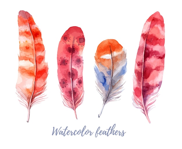 Watercolor feathers collection. Boho bird feather