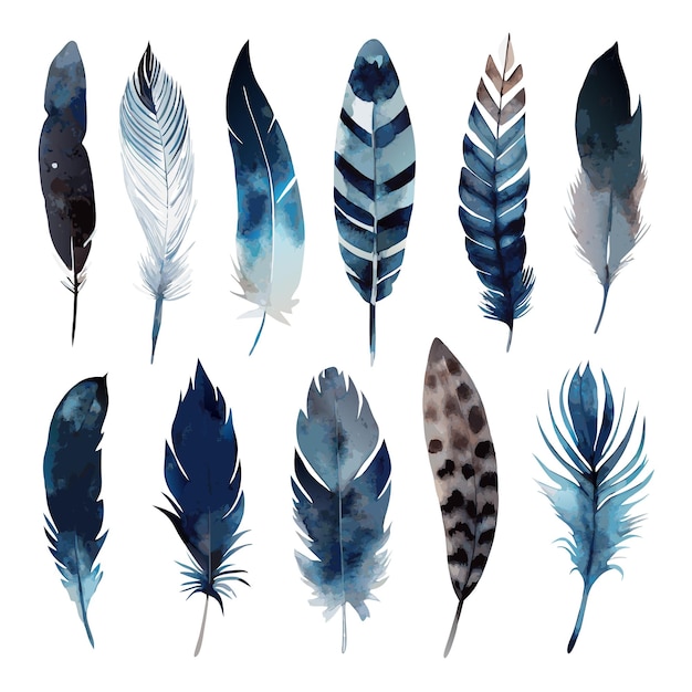 Vector watercolor feathers collection on a isolated white background 25