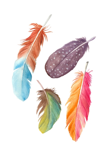 Watercolor Feathers