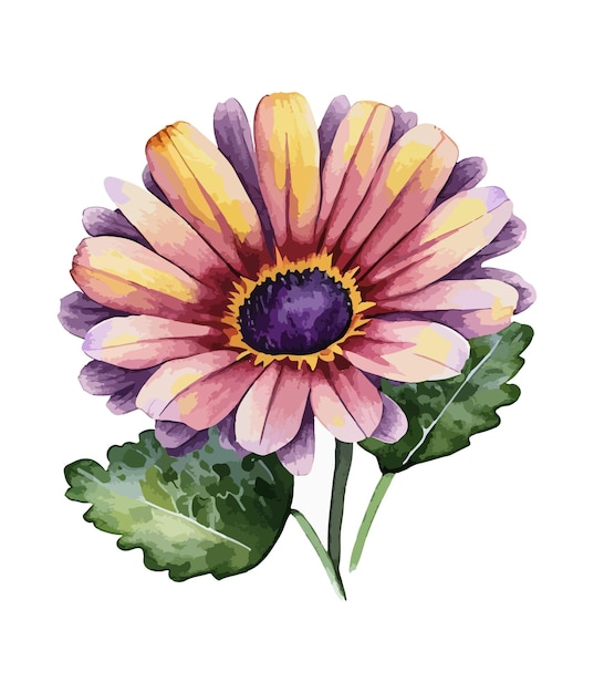 Watercolor floral arrangements with beautiful African Daisy flower Watercolor floral bouquet