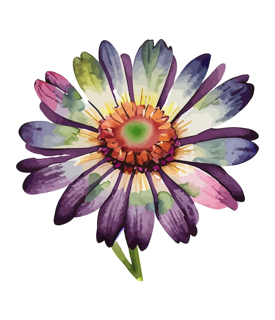 Watercolor floral arrangements with beautiful African Daisy flower Watercolor floral bouquet