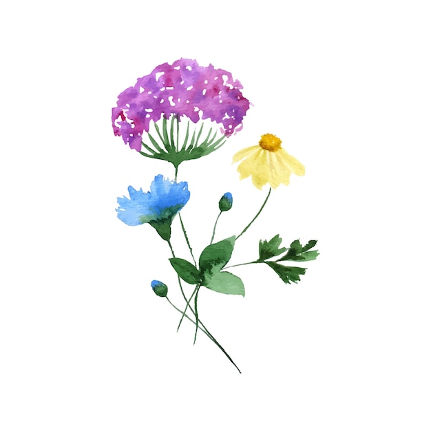 Watercolor floral bouquet Wildflowers Vector illustration