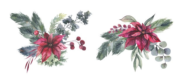 Watercolor floral bouquet with red Christmas flowers.