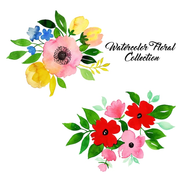 Watercolor Floral Collection