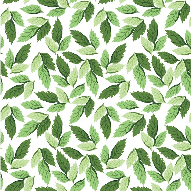 Watercolor Floral Leaves Seamless Pattern Background