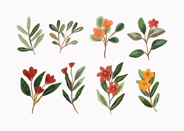 Watercolor Floral and Leaves Vector Set for Spring