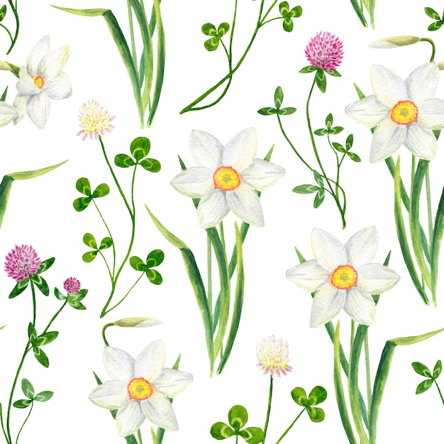 Watercolor floral seamless pattern with clover and narcissus flowers