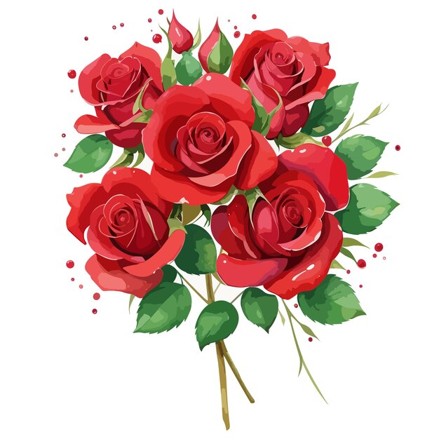 watercolor flower bouquet red rose vector illustration