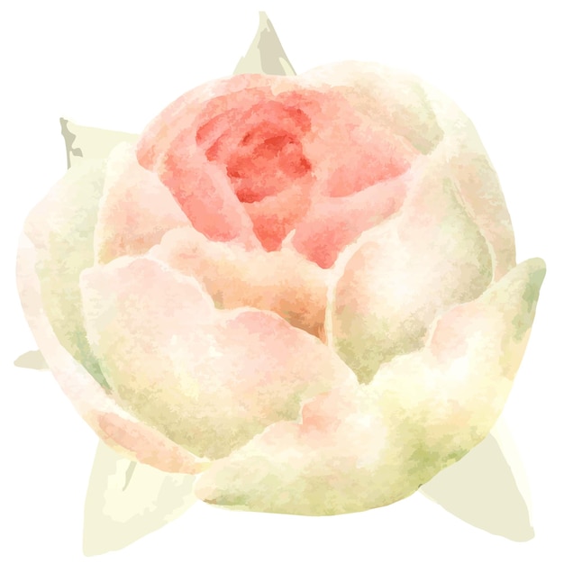 watercolor flower illustration