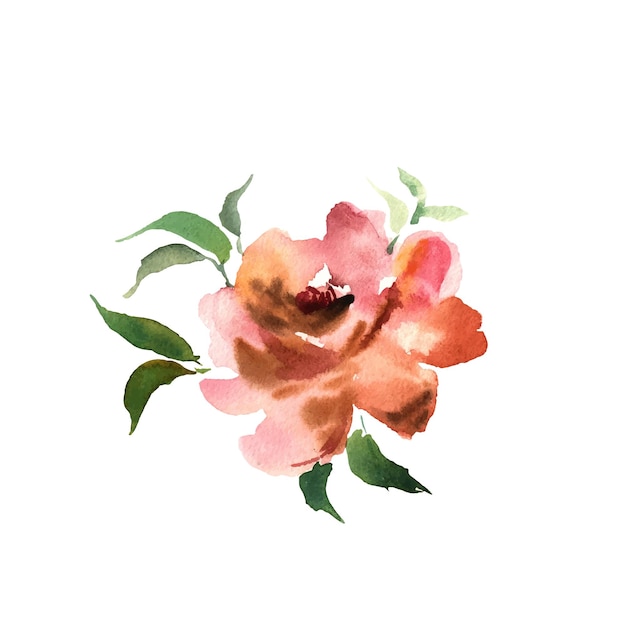 Watercolor flower Orange beautiful hand drawn rose Design for