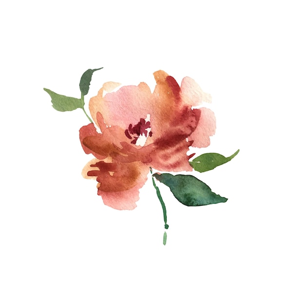 Watercolor flower Orange beautiful hand drawn rose Design for