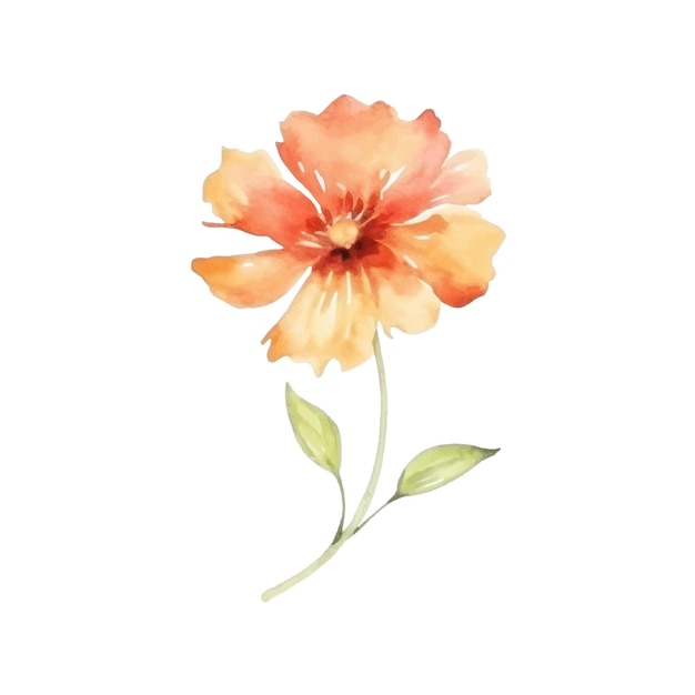 Watercolor Flower Plant Illustration