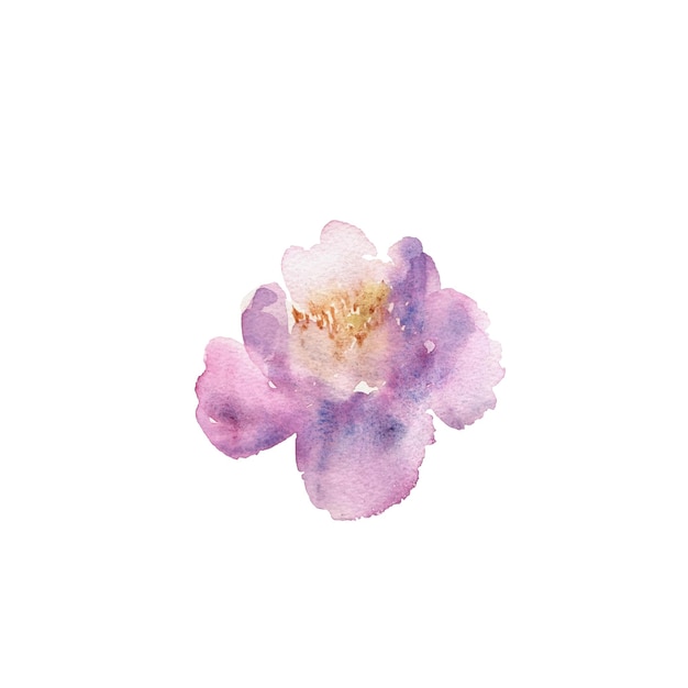 Watercolor flower Purple beautiful hand drawn rose Design for