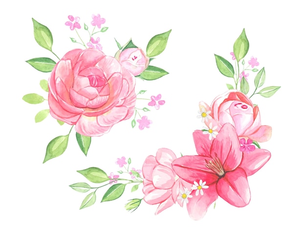 Watercolor flowers bouquets of pink flowers isolated