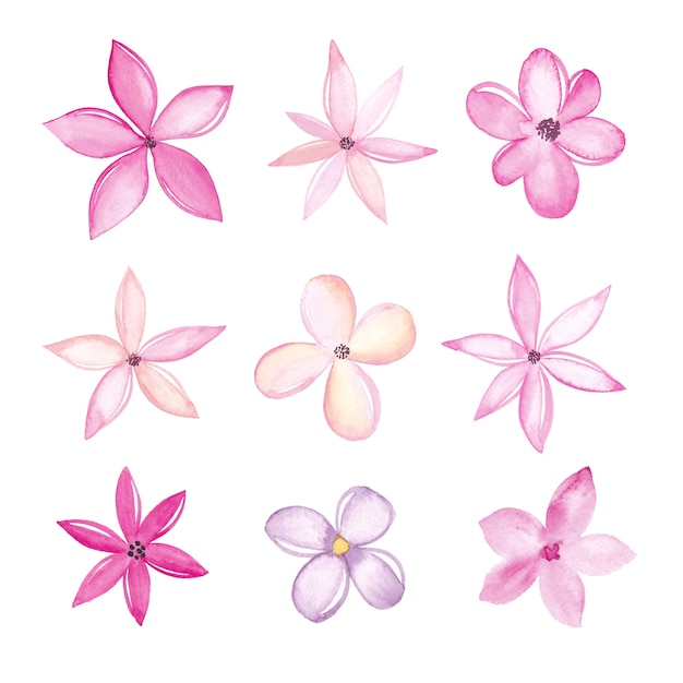 Watercolor flowers collection isolated on white background