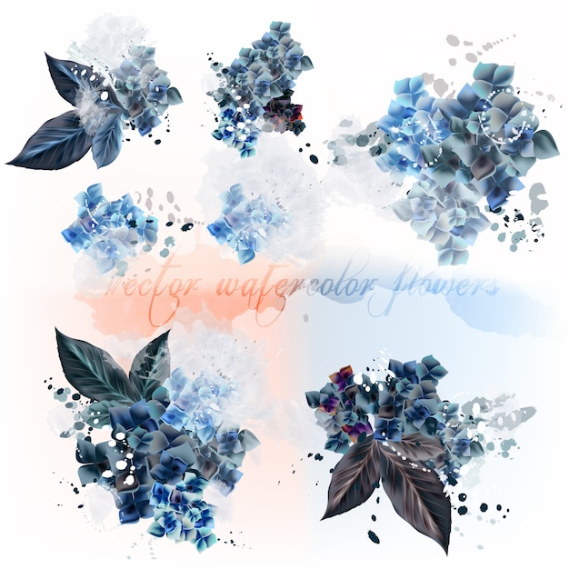 Watercolor flowers collection