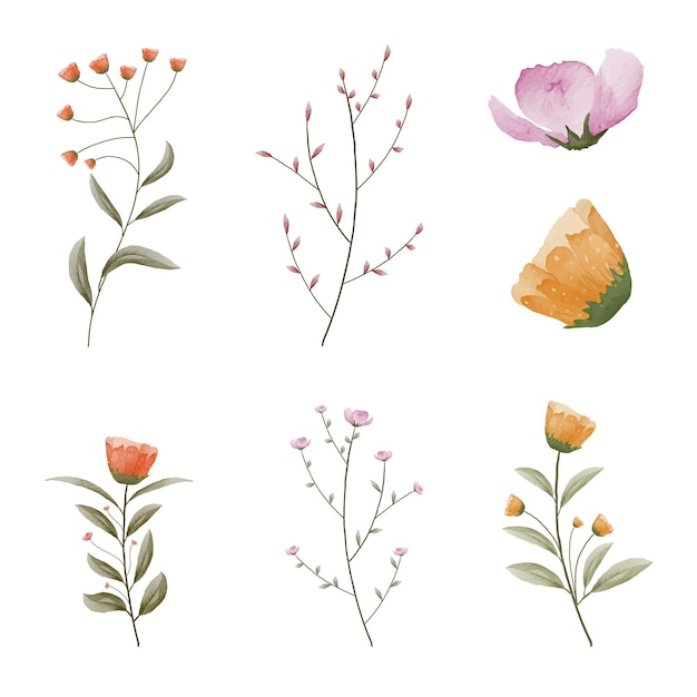 Watercolor flowers and leaf collection