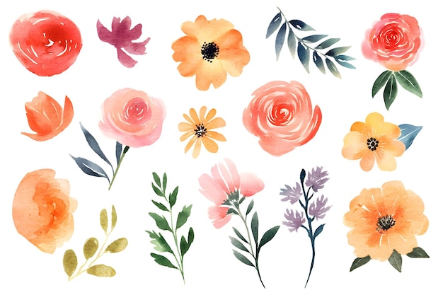 watercolor flowers and leaves clipart collection