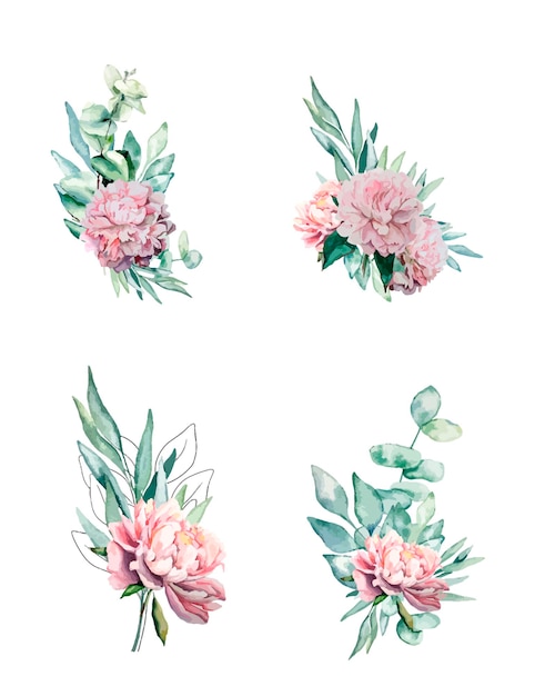 watercolor flowers leaves elements frames composition eucaliptus peony