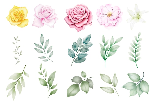 Watercolor flowers and leaves on a white background