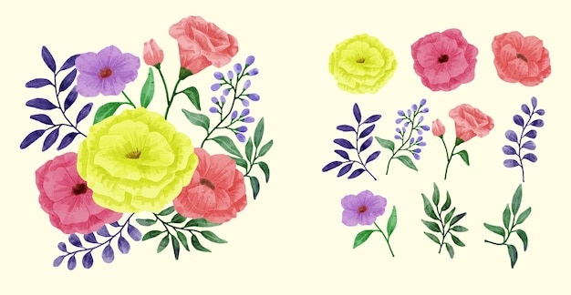 watercolor flowers set